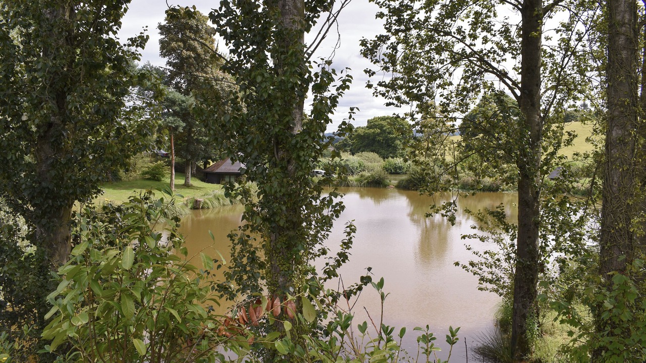 Photo of Others in Bradninch