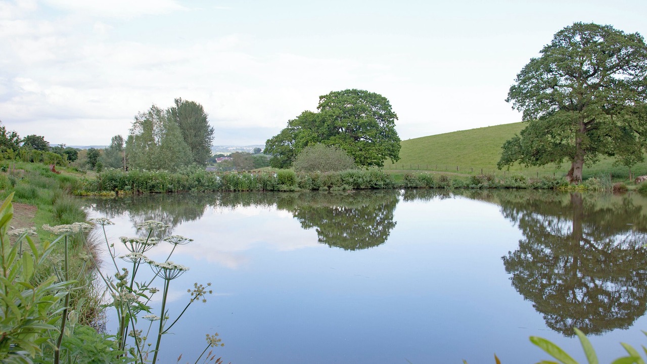 Photo of Others in Bradninch