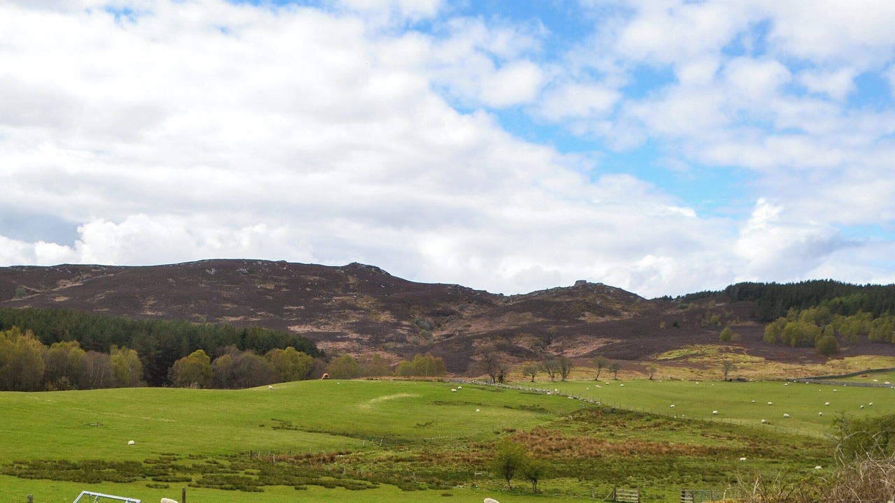 Photo of Others in Harbottle