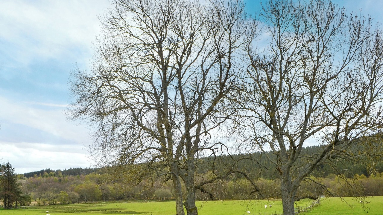 Photo of Others in Harbottle