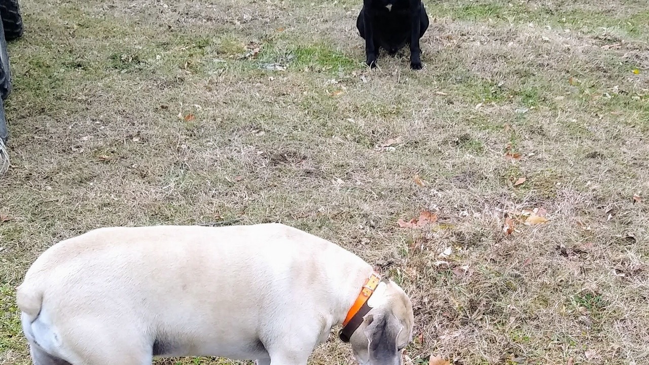 Photo of Outdoor in Pine Island