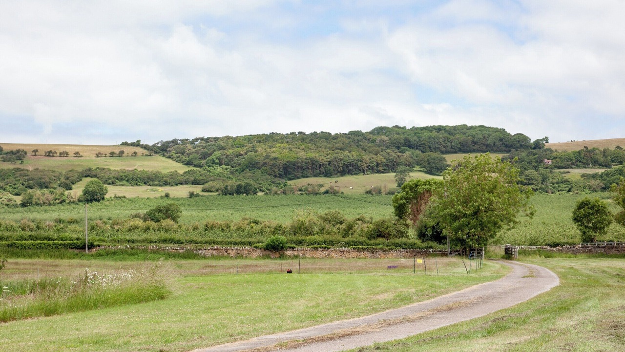 Photo of Outdoor in Loxton