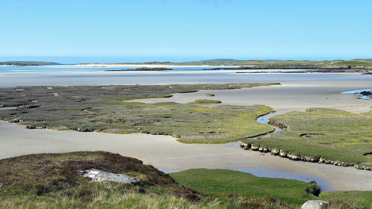 Photo of Others in Sollas