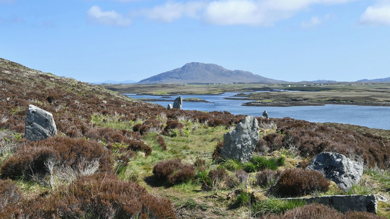 Photo of Others in Sollas