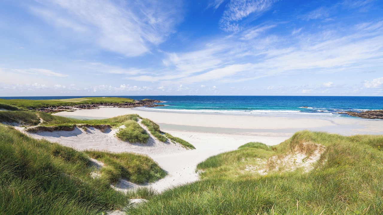 Photo of Others in Sollas