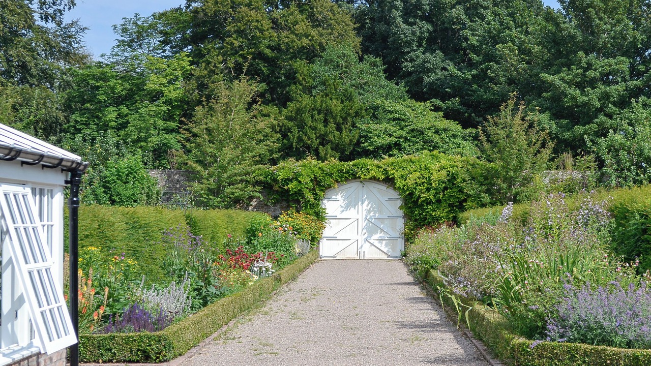 Photo of Outdoor in Montrose