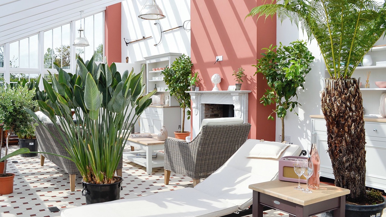 Photo of Outdoor in Montrose