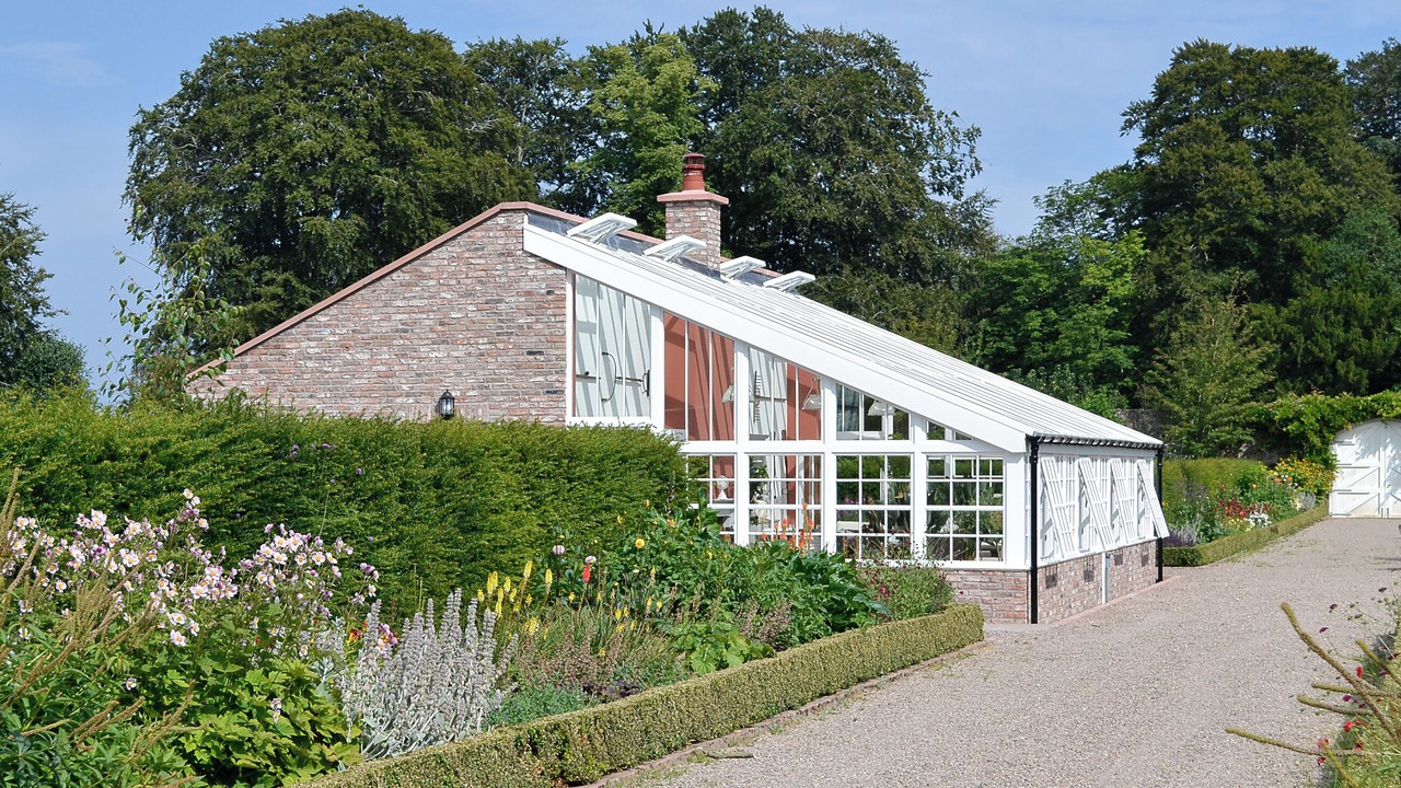 Photo of Outdoor in Montrose