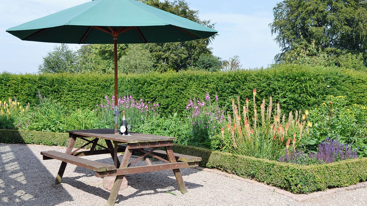 Photo of Outdoor in Montrose