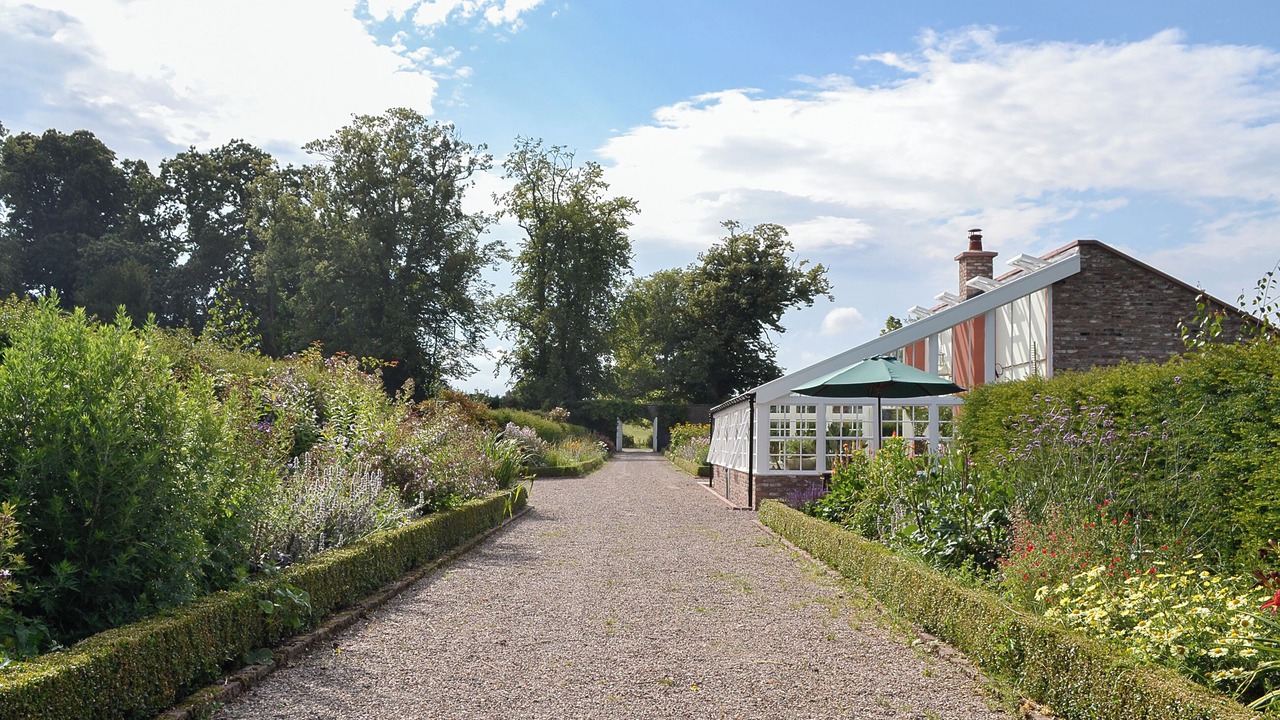 Photo of Outdoor in Montrose