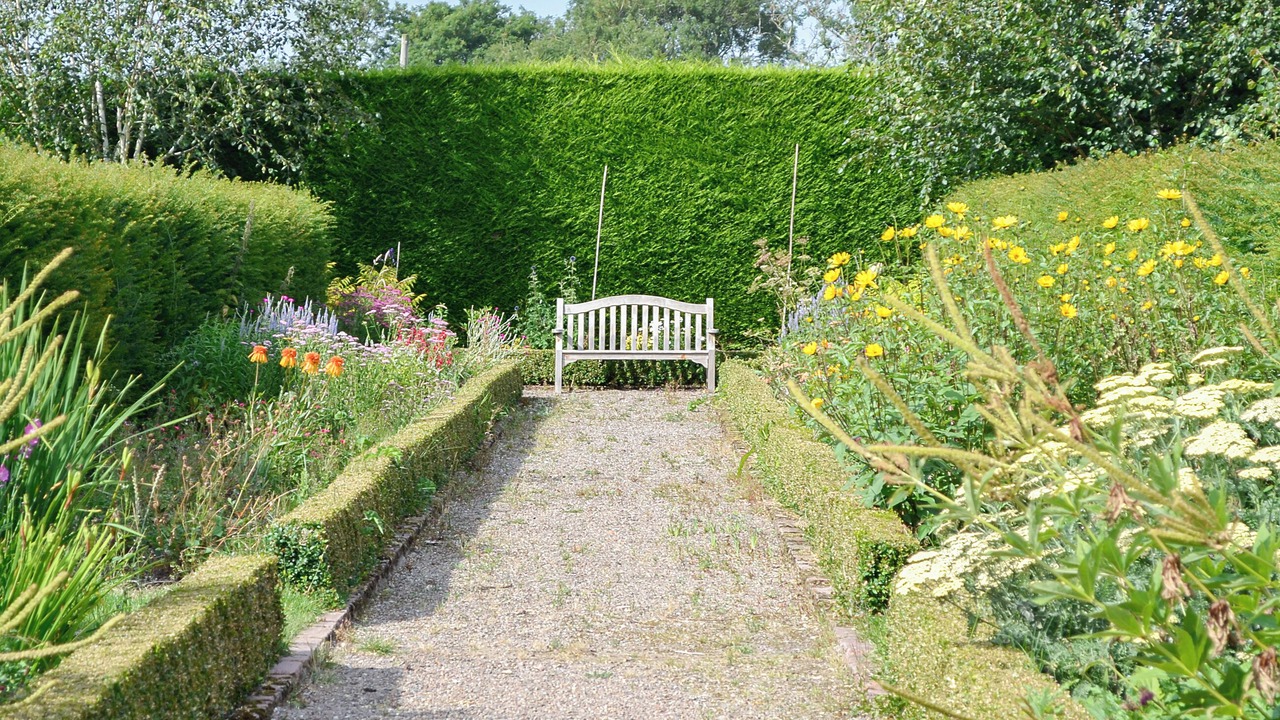 Photo of Outdoor in Montrose