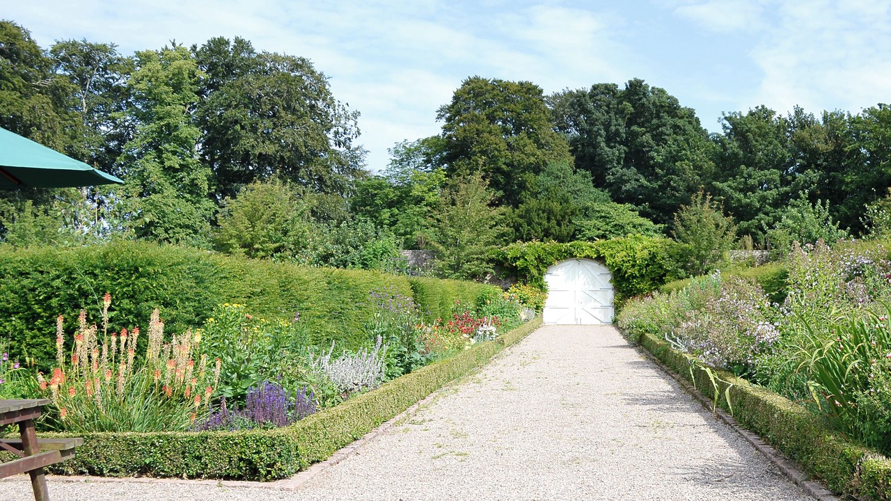 Photo of Outdoor in Montrose