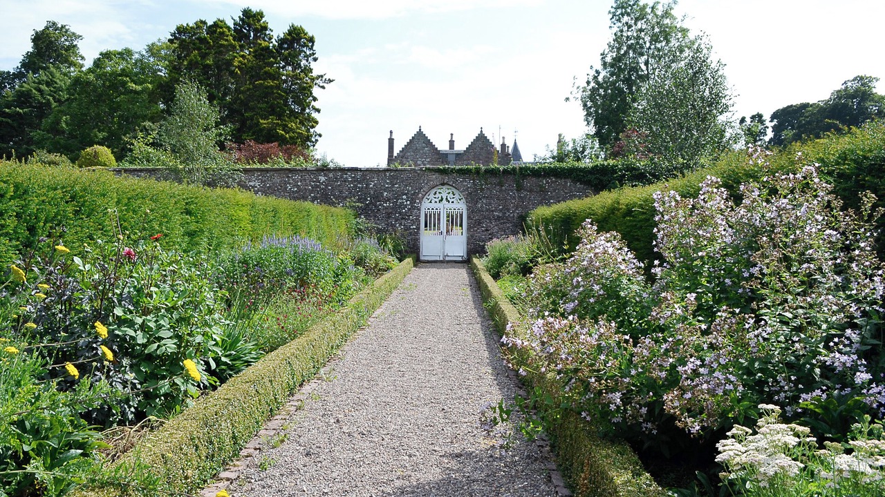 Photo of Outdoor in Montrose