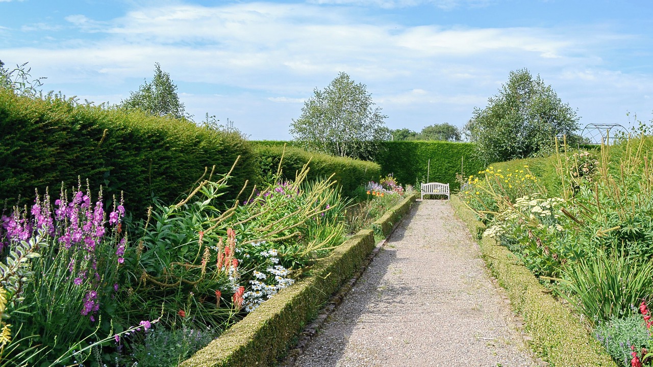 Photo of Outdoor in Montrose