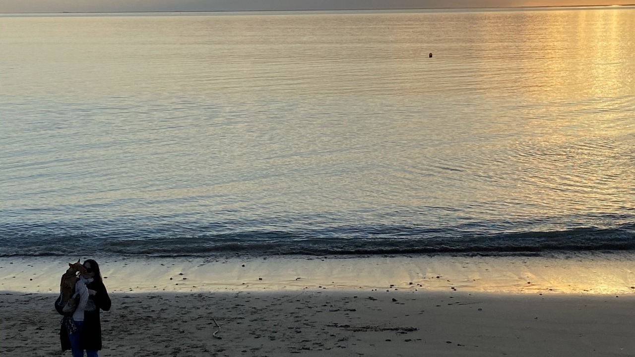 Photo of Others in LHoumeau