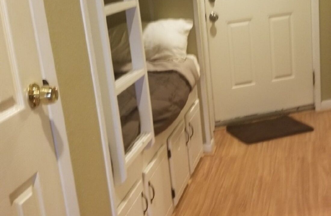 Photo of Others in North Beach