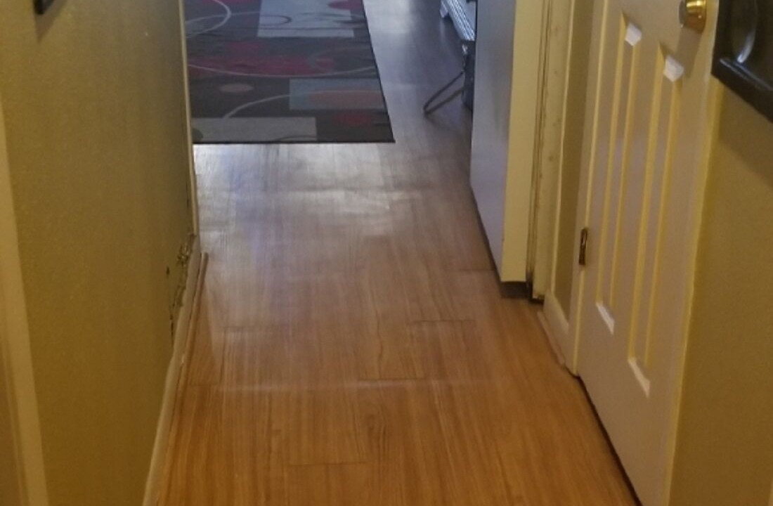 Photo of Others in North Beach