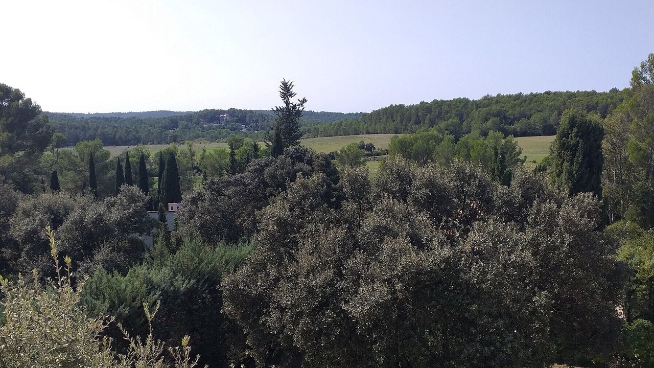 Photo of Others in La Colline
