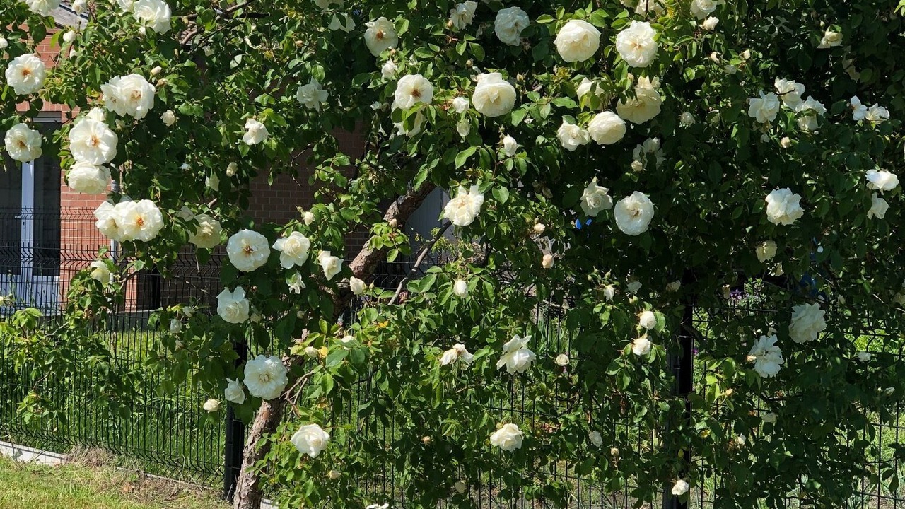 Photo of Outdoor in Saint-Amand-les-Eaux