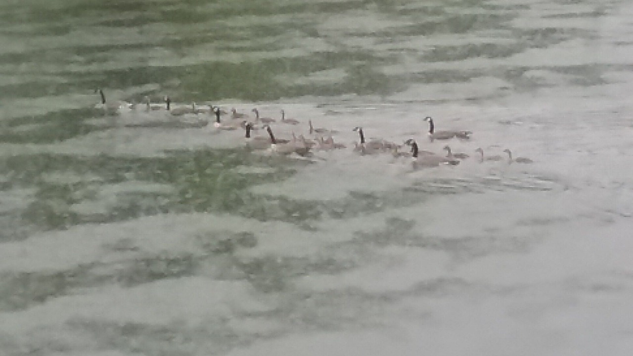 Photo of Others in Irvine