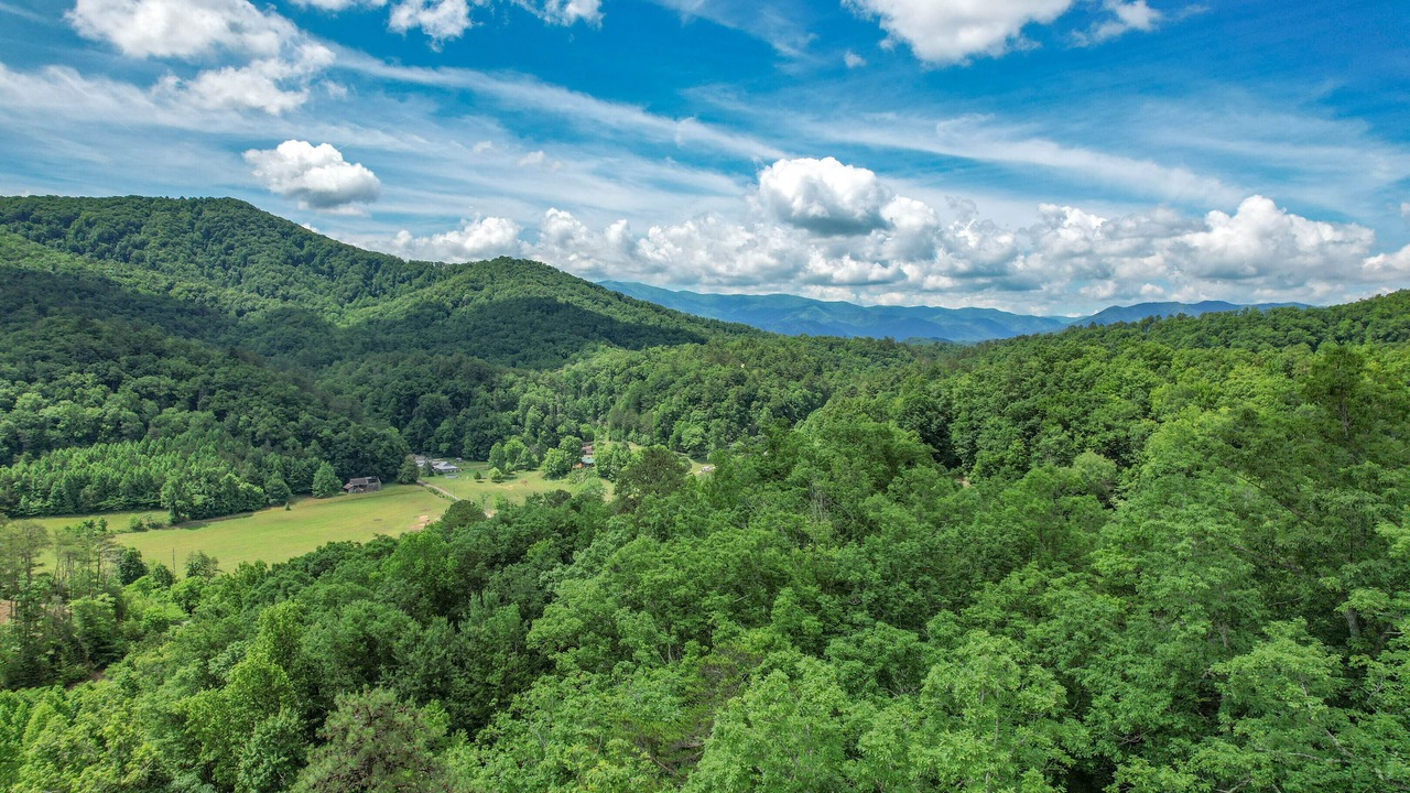 Photo of Others in Wears Valley