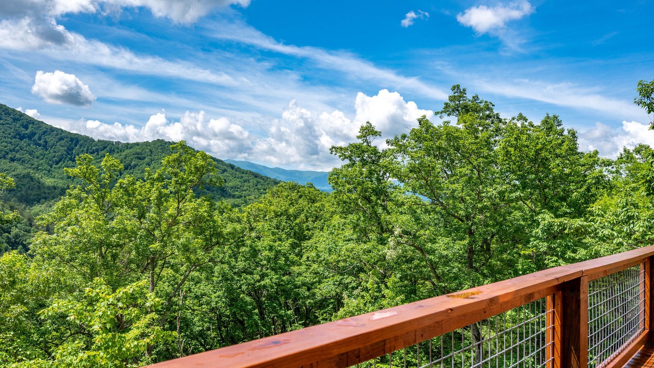 Photo of Outdoor in Wears Valley
