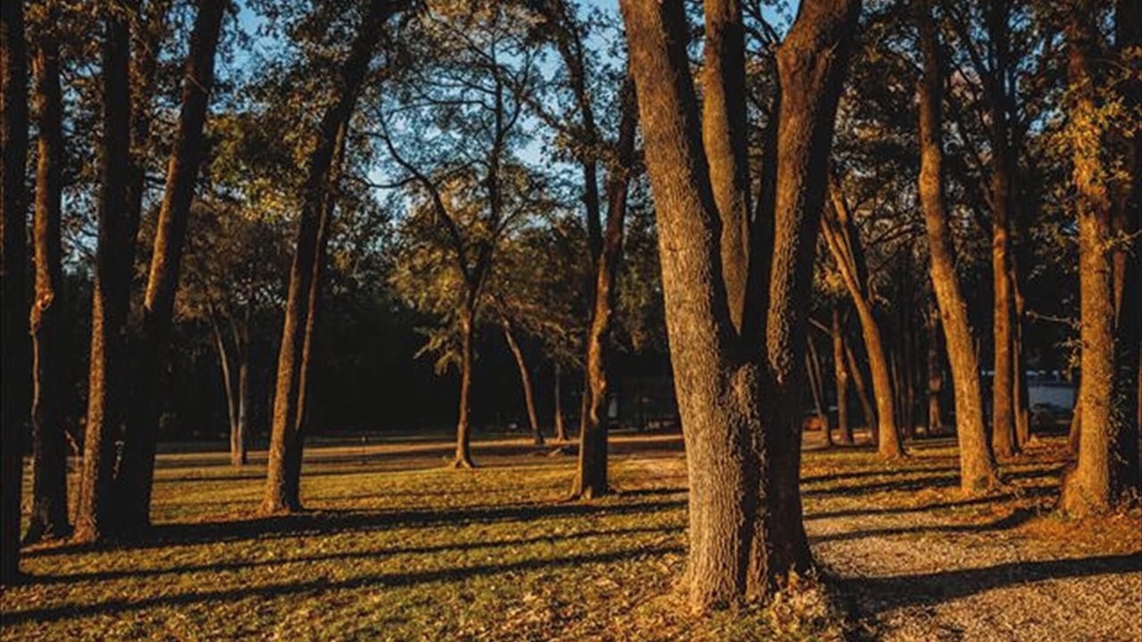 Photo of Outdoor in Quinlan