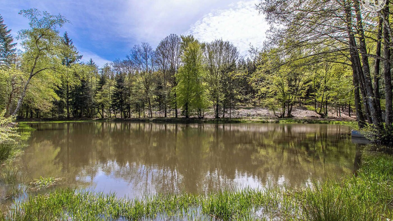 Photo of Others in Anost