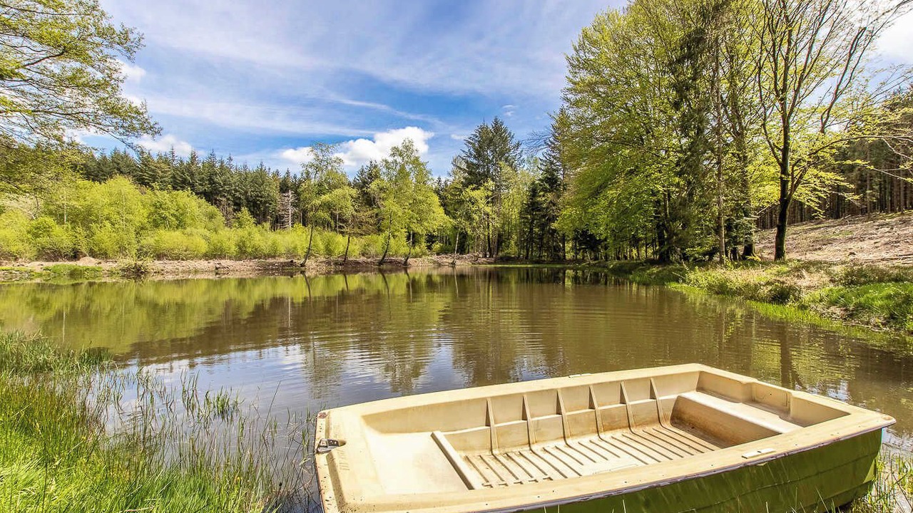 Photo of Others in Anost