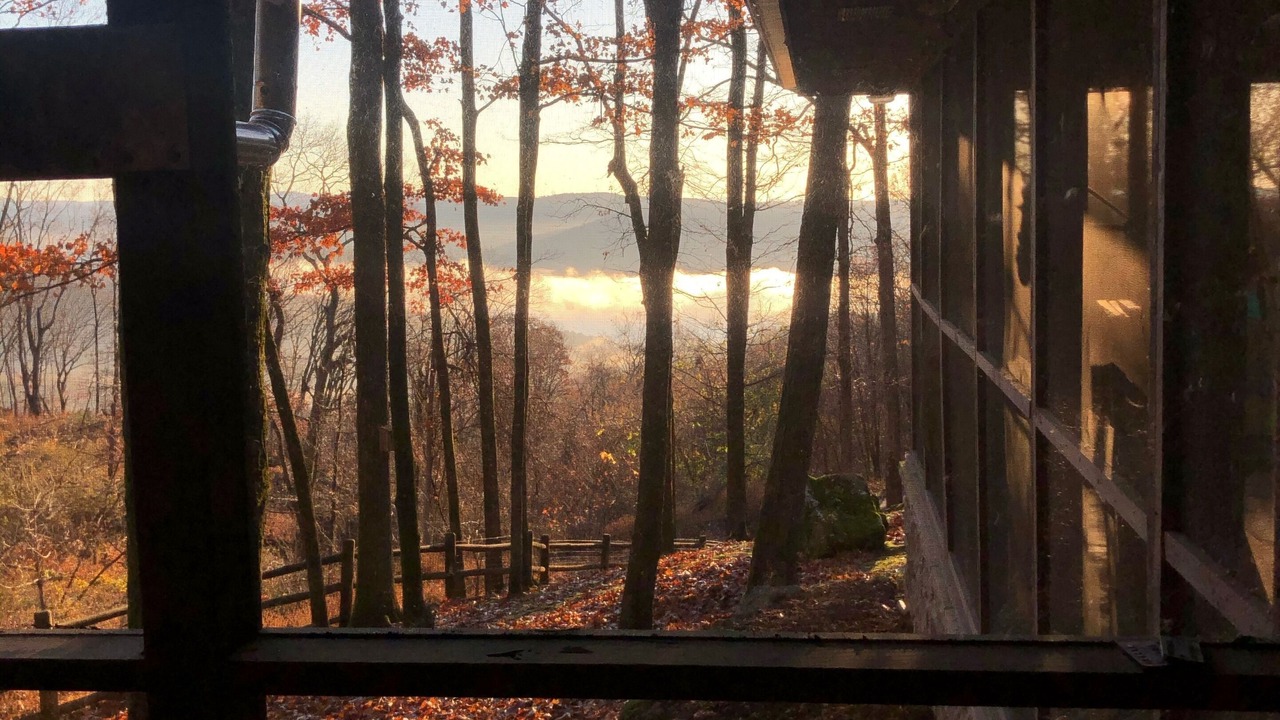 Photo of Others in Mountainburg