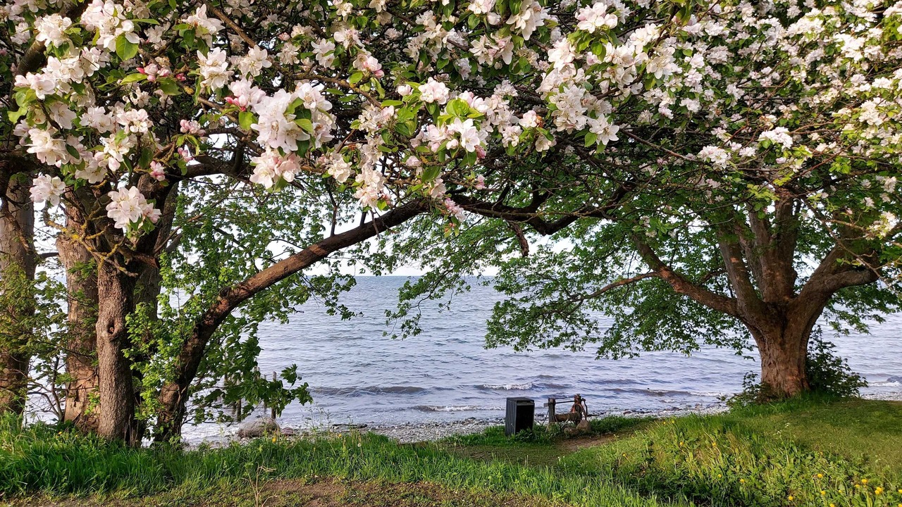 Photo of Outdoor in Klippinge