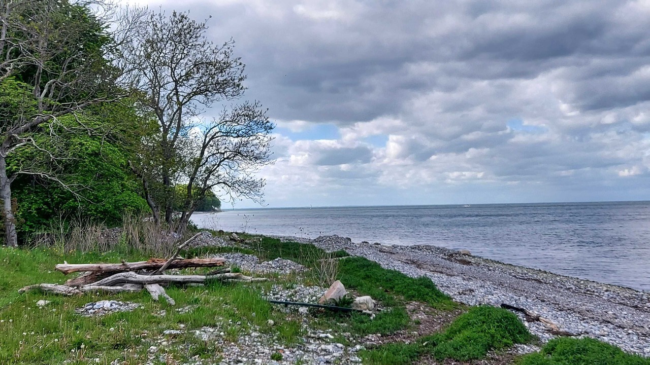 Photo of Others in Klippinge