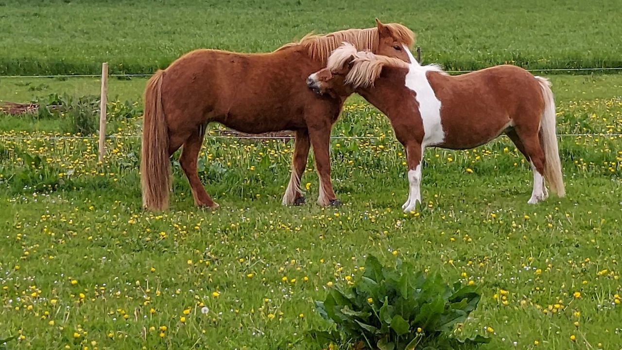 Photo of Outdoor in Klippinge