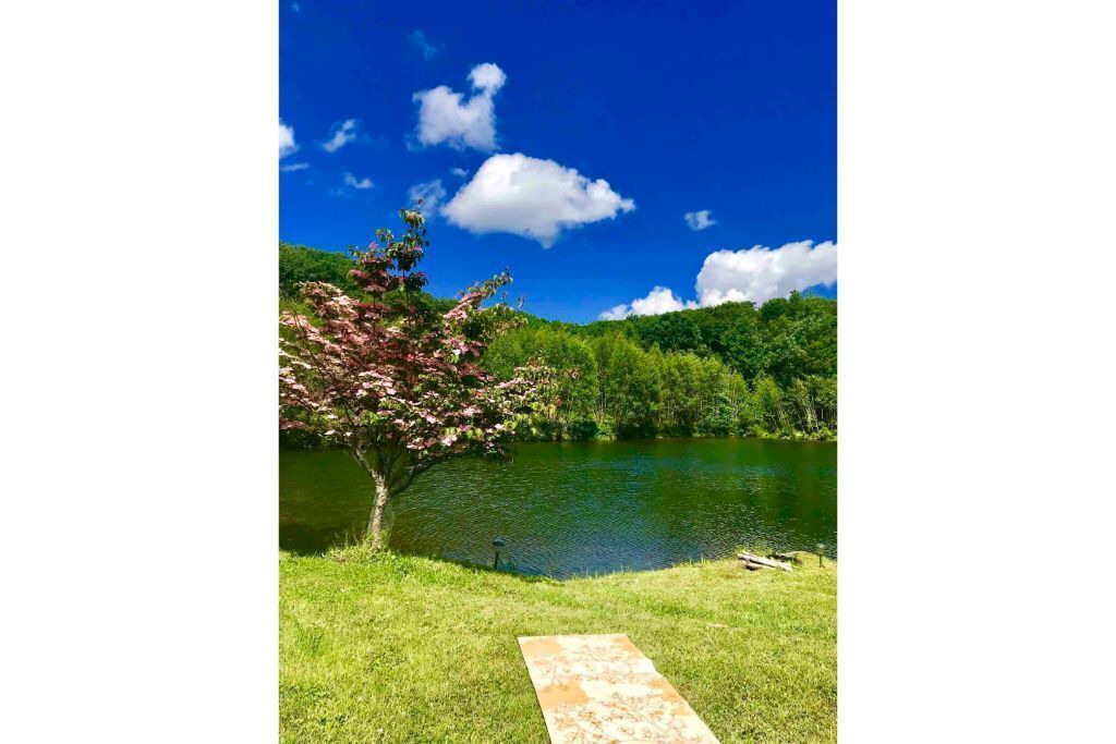 Photo of Outdoor in Waymart