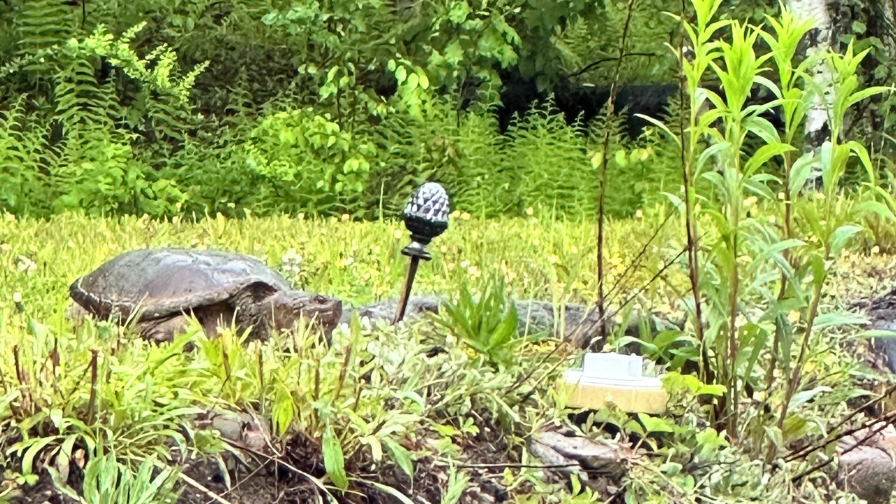 Photo of Others in Waymart