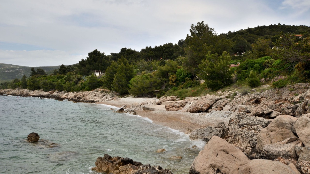 Photo of Others in Miholascica