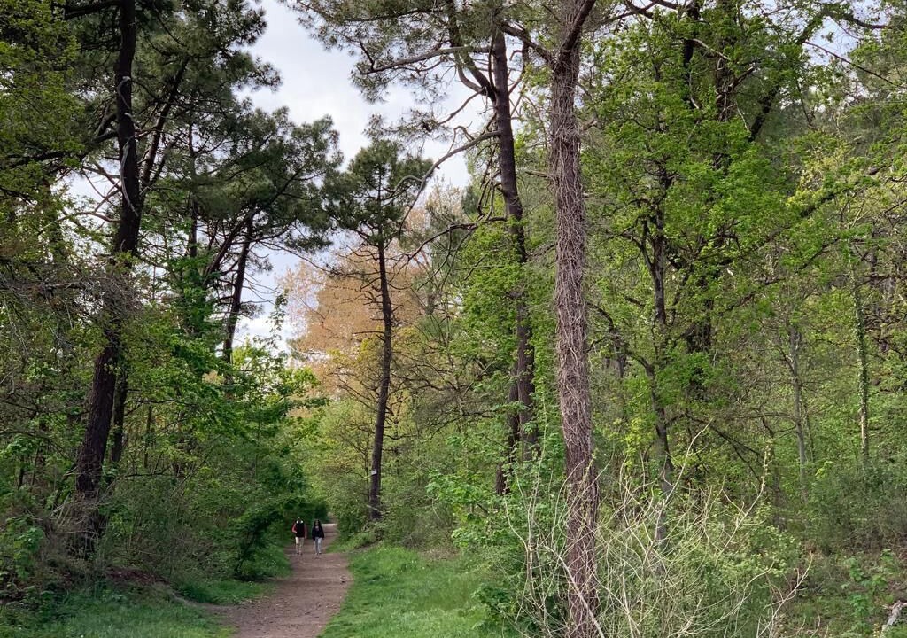 Photo of Outdoor in Cucq