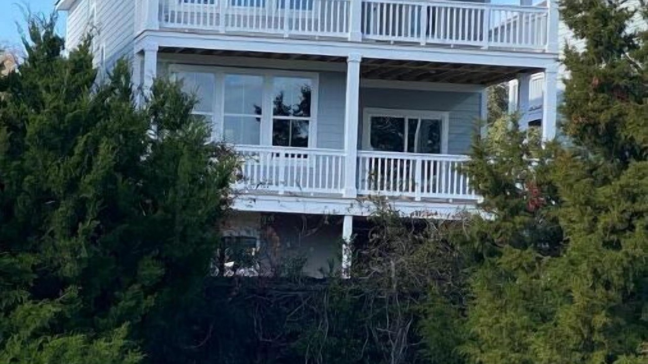 Photo of Others in Palmetto Dunes
