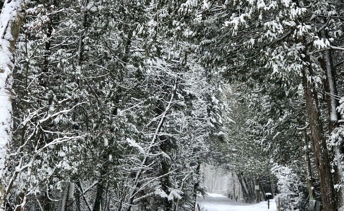 Photo of Others in Ripley