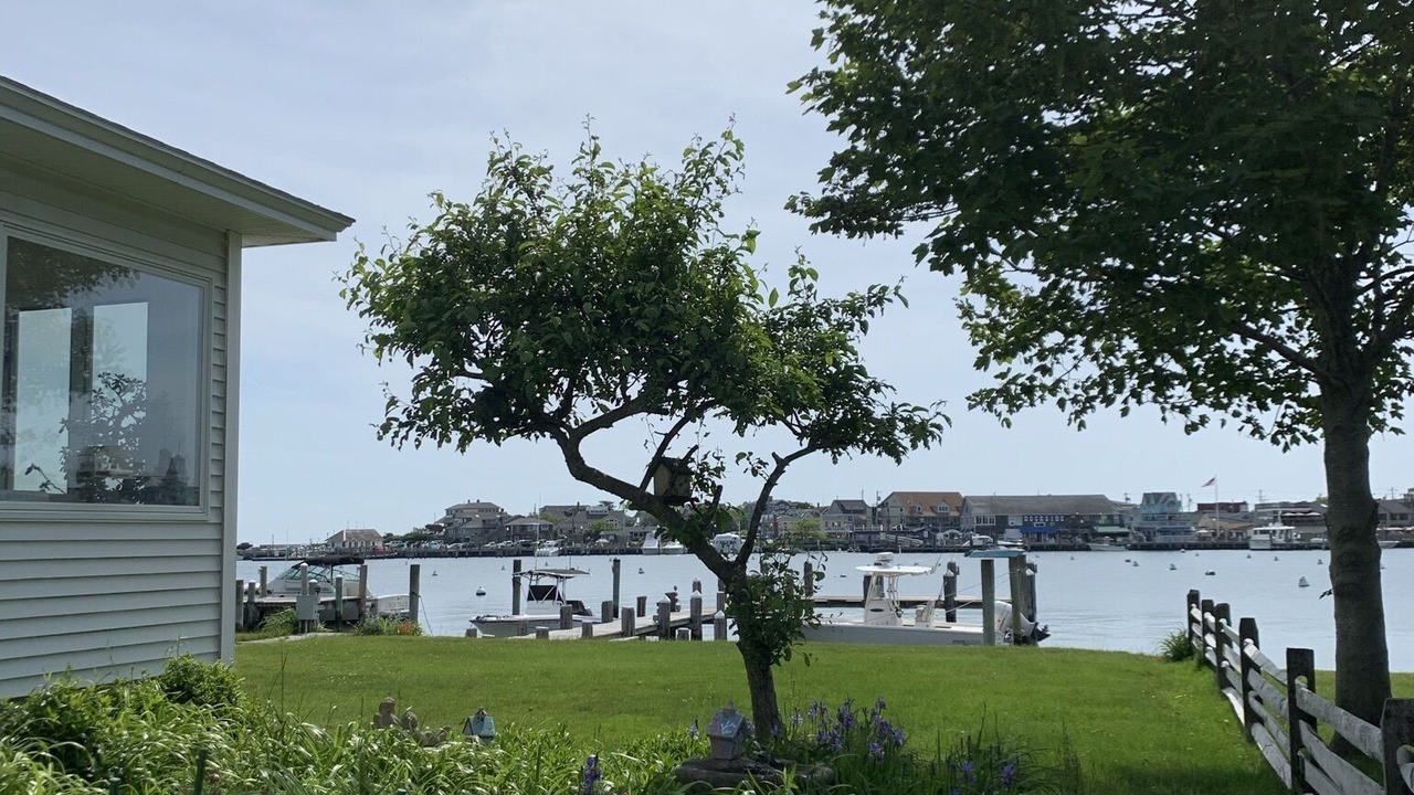 Photo of Outdoor in Oak Bluffs