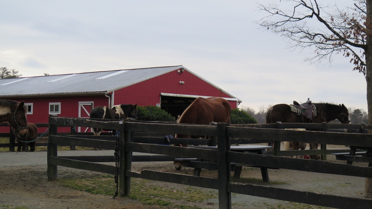 Photo of Others in Gordonsville