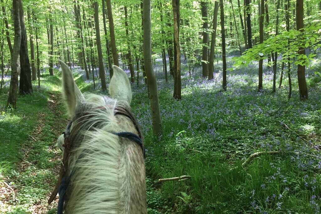 Photo of Outdoor in Incheville