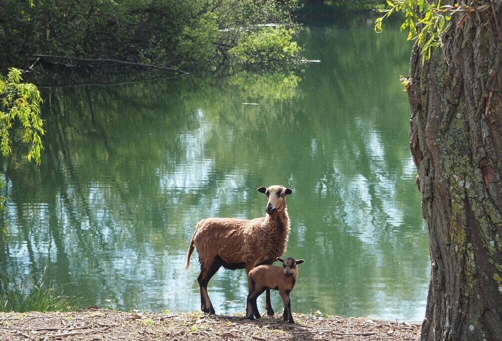 Photo of Others in Incheville