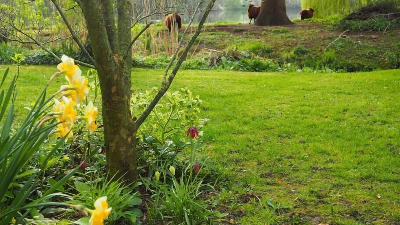 Photo of Outdoor in Incheville