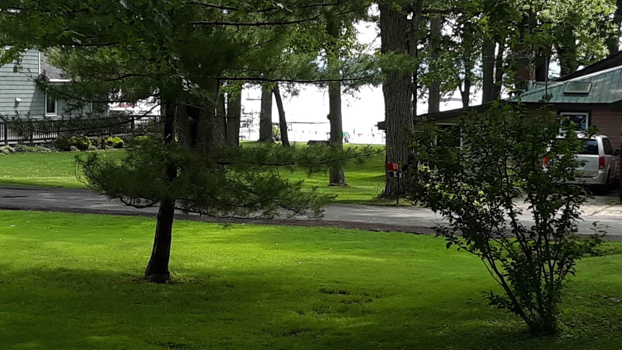 Photo of Outdoor in Mayville