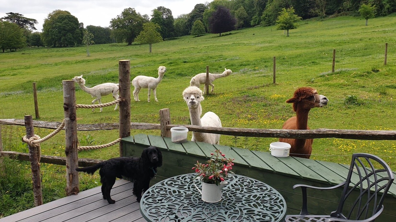 Photo of Others in Frampton