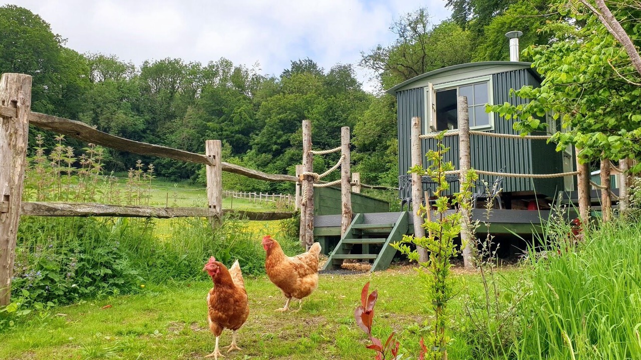 Photo of Others in Frampton