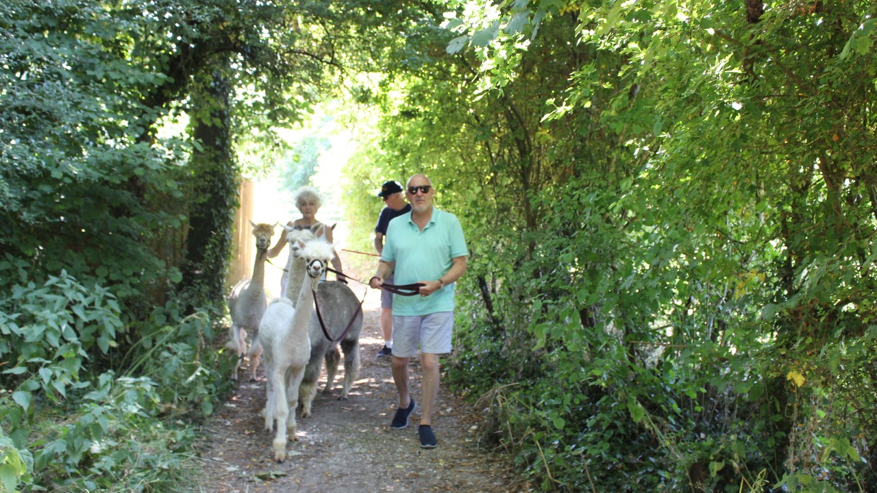 Photo of Others in Frampton