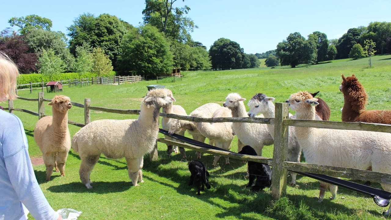 Photo of Others in Frampton