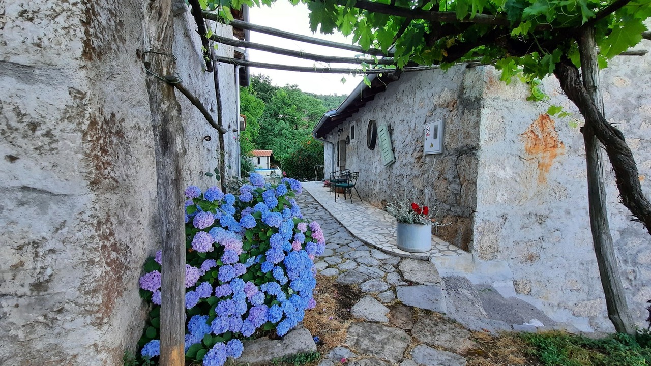 Photo of Outdoor in Opatija